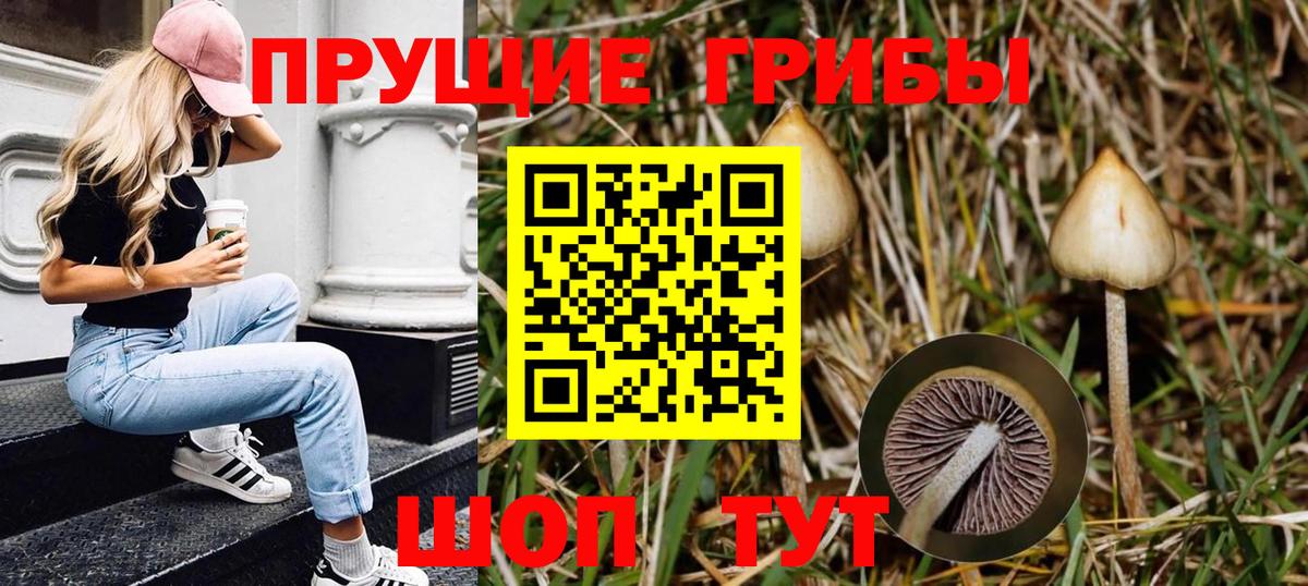 Галлюциногенные грибы мухоморы Чита