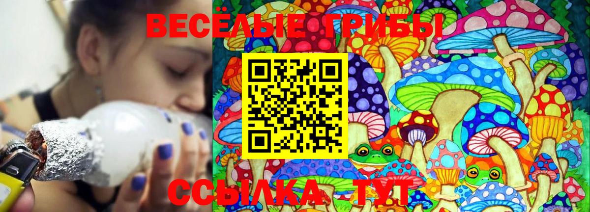 Чита  Псилоцибиновые грибы мицелий  Вход с VPN 